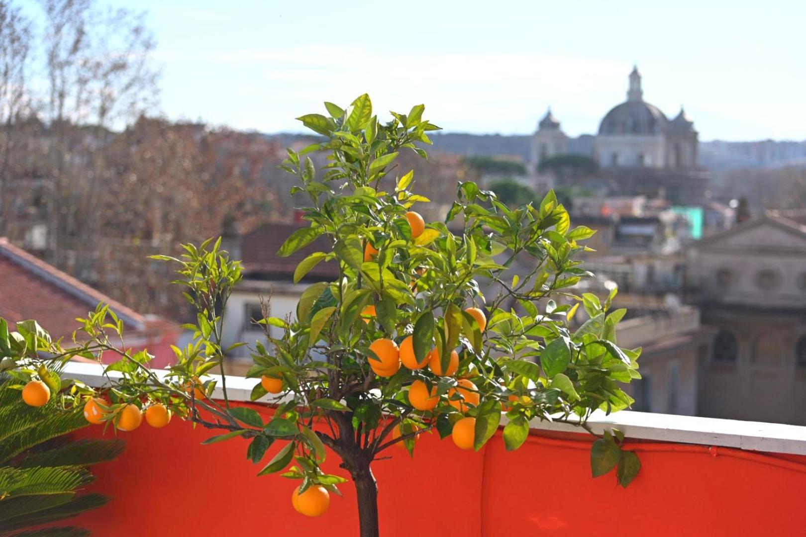 Farnesina Rooftop Terrace Rome Exterior photo